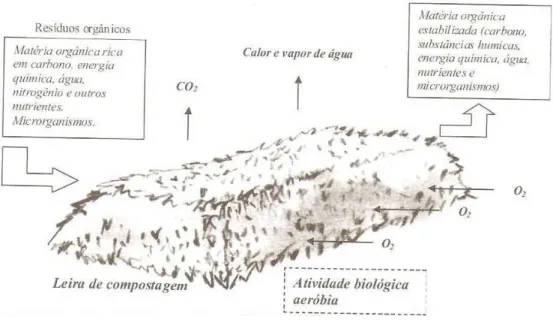 Figura 5: Representação esquemática do processo de compostagem. 