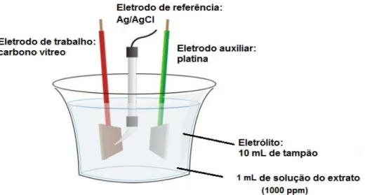 Figura 10: Esquema da célula eletroquímica utilizada.