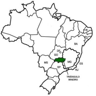 Figura 1 - Mapa do Brasil, com destaque para o Triângulo Mineiro.  