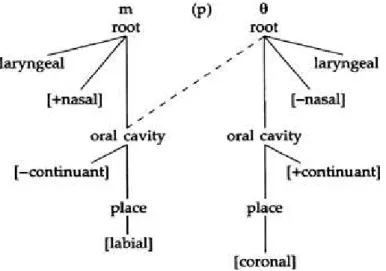 Figura 04  –  ISF: esquema arbóreo, a oclusiva intrusiva [p]. 