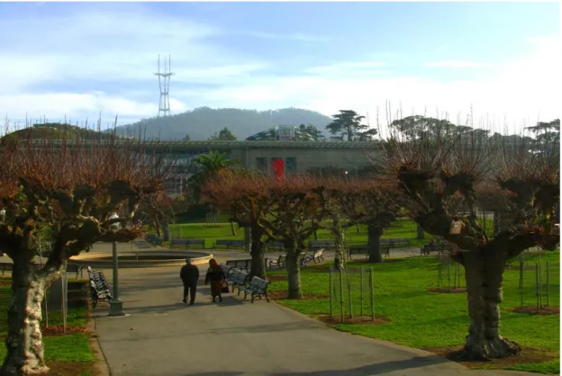 Figura 3: Golden Gate Park,Califórnia  