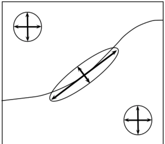 Figure 2.6 – The arrows show the eigenvalues of 2.9. Higher weights along structures than across then, and equal weights inside the layers.