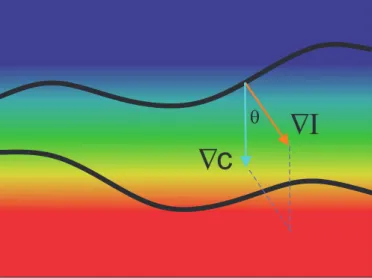 Figure 2.7 – A cross-gradient regularization parallelize the gradient vectors ∇
