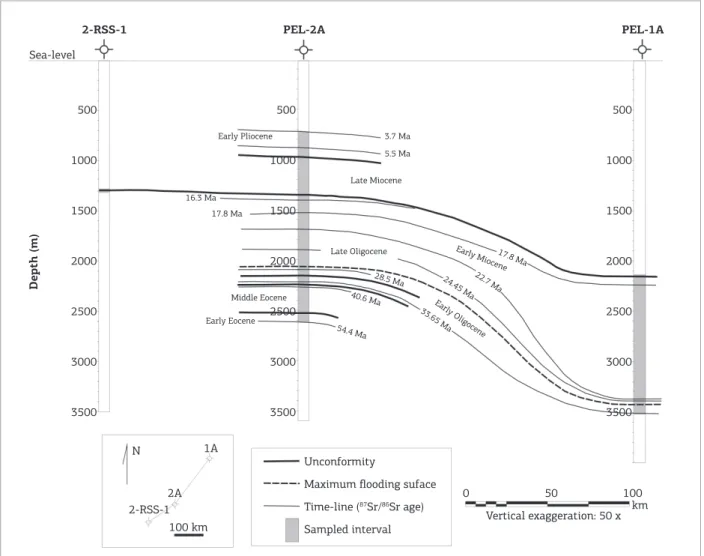 Figure 7. Cross-section through the studied drill-holes, showing the important horizons identified.