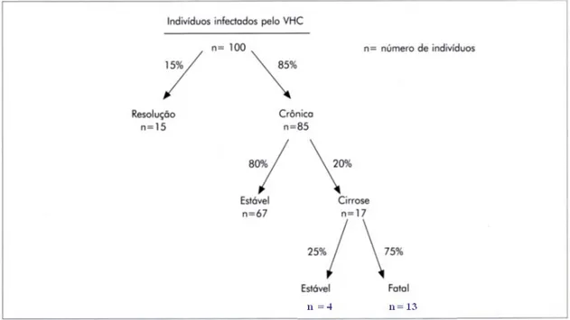 Figura 2 – Risco estimado de evolução da infecção pelo VHC em 20 anos. 