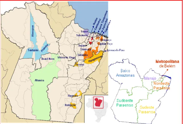 Figura 7- Mapa do estado do Pará indicando os municípios de coleta de soro  dos herbívoros domésticos