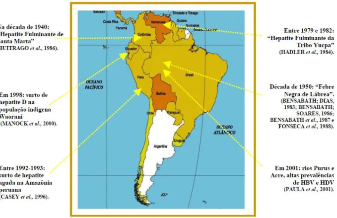 Figura 8:  Estudos sobre a prevalência das hepatites B e D entre populações da América do Sul