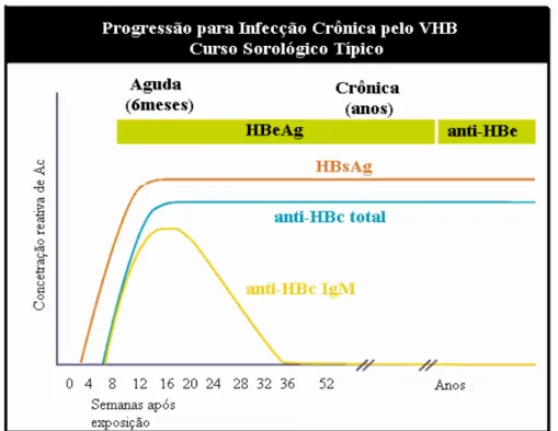 Figura 2.4: Marcadores diagnosticáveis durante o curso evolutivo da infecção aguda pelo VHB (Adapatado do CDC - Centro de Controle de Doenças e Prevenção).