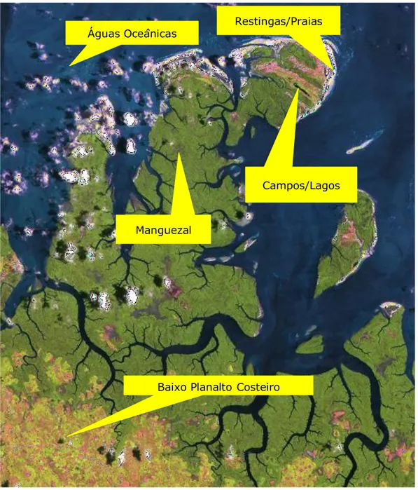 Foto 01 - Imagem de satélite (Landsat 5 TM de 03/10/88) da APA da Costa de Urumajó, com    localização  dos principais ecossistemas 