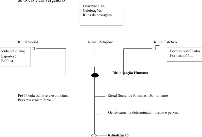 Fig. 3: Árvore genealógica apresentando a evolução do ritual segundo Richard Schechner (2006, p