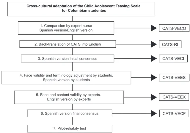 Figure 1 – Process of cross-cultural adaptation of CATS to the Spanish spoken in Colombia, 2015-2016