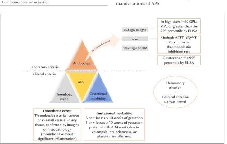 FIGURE 1   APS classification criteria.