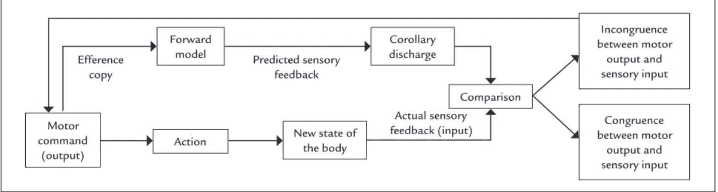 FIGURE 2   Mechanisms involved with motor control. Based on the efference copy of the motor command, a forward model predicts the  result of the action