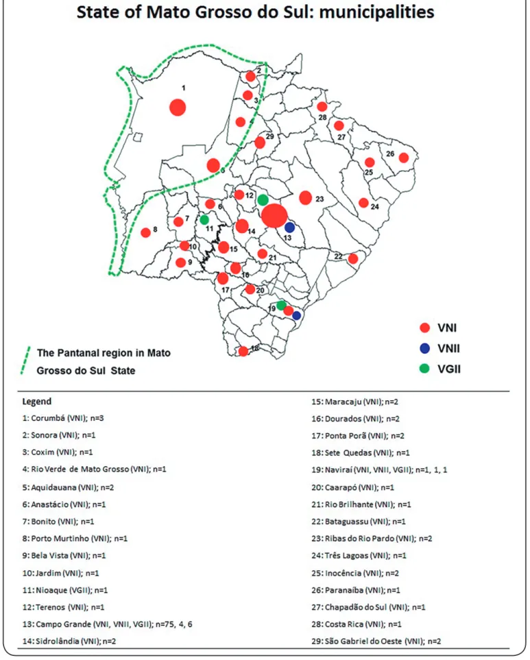 FIGURE 2: Distribution of Cryptococcus neoformans and Cryptococcus gattii molecular types in the cities of Mato Grosso do Sul according to the place of  residence of the patients with cryptococcal meningitis.