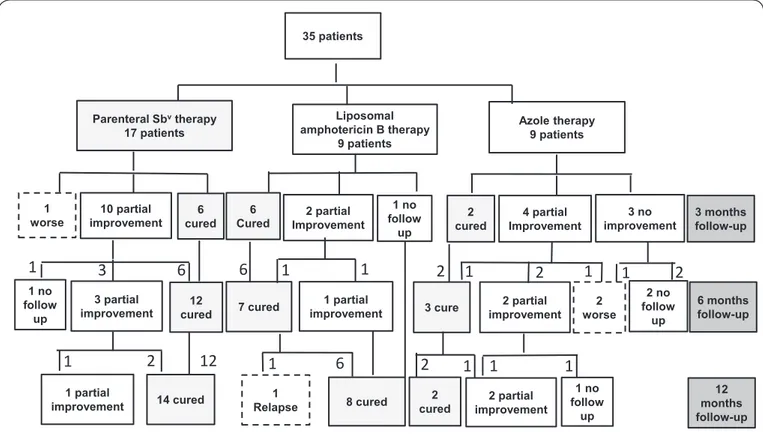 FIGURE 1: The patient’s outcomes in response to the different treatments. 