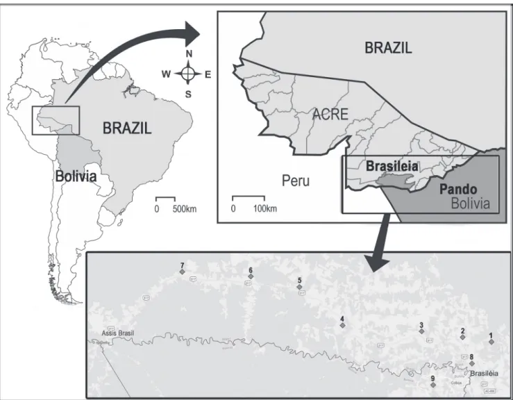 FIGURE 1: Brasiléia municipality, State of Acre, Brazil. Geographic distribution of the patients with clinically suspected cutaneous leishmaniasis  from Brasiléia