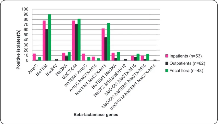FIGURE 1: Distribution of ESBL genes and AmpC beta-lactamases among 163 ESBL-producing  Escherichia coli  isolates from urinary tract infections and  fecal flora