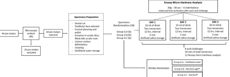 Figure 1. Study design.