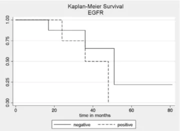Figure 2. Survival curves obtained by the Kaplan-Meier method  (p=0.328) in patients with positive and negative EGFR  cholangiocarci-nomas.