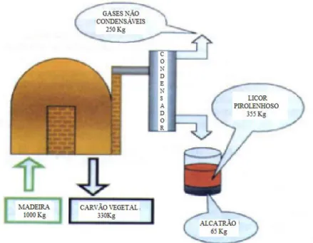 Figura 3.1 - Ilustração da pirólise de madeira. Fonte: (CENBIO, 2008). 