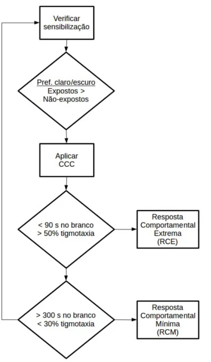 Figura  8: Desenho experimental relativo ao Experimento 3.  O   fluxograma   representa   as   etapas   de   aplicação   dos Critérios Comportamentais de Corte (CCC), estratificando as   amostras   em   animais   exibindo   Respostas Comportamentais   Extr