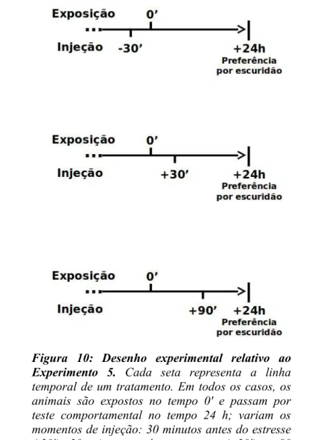 Figura  10:   Desenho   experimental   relativo   ao Experimento   5.  Cada   seta   representa   a   linha temporal de um tratamento