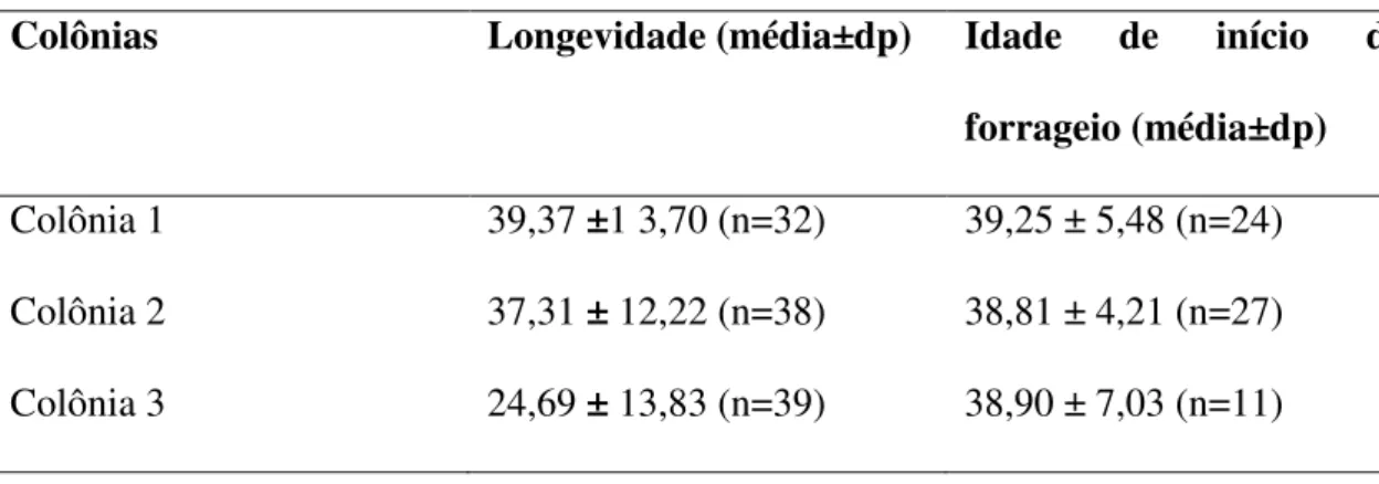 Tabela  4:  Longevidade  e  idade  de  início  de  forrageio  entre  as  colônias  de  Melipona  fasciculata, durante a estação seca