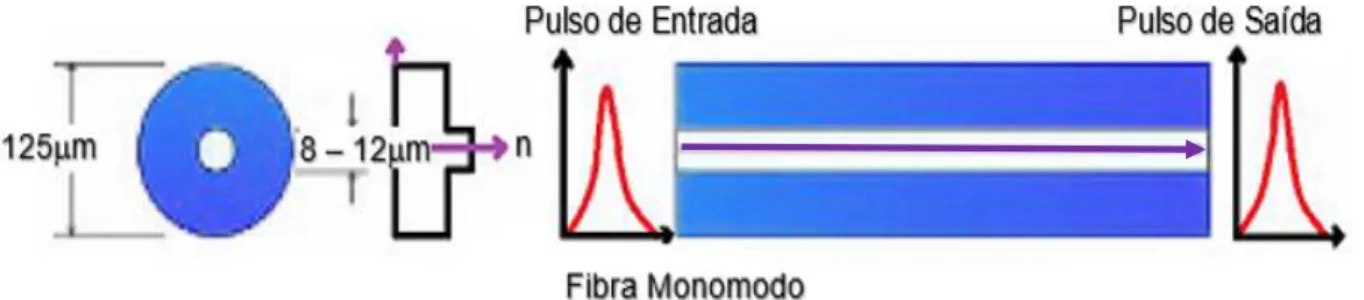 Figura 2.3 - Perfil da Fibra Monomodo. 