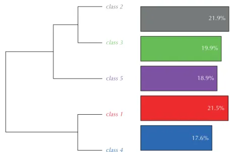 Figure 1 – Dendogram of the classes provided by IRAMUTEQ software – Curitiba, PR, Brazil, 2015.