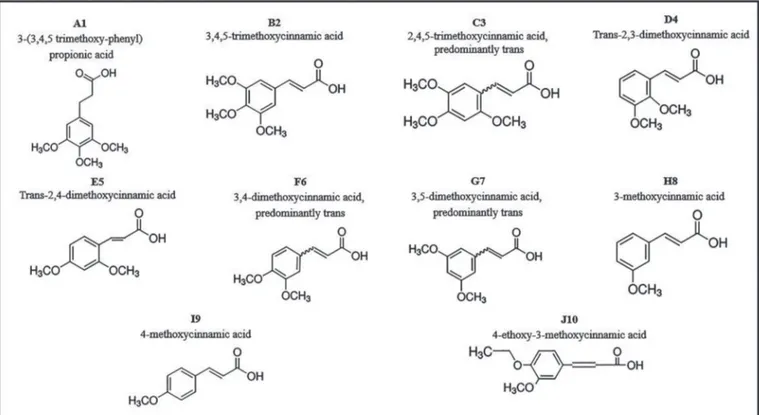 FIGURE 1: Analogous synthetic derivatives of cinnamic acid.