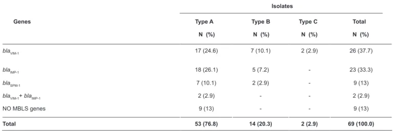 TABLE 2: ERIC-PCR results for metallo-β-lactamase-positive  Pseudomonas aeruginosa  isolates.