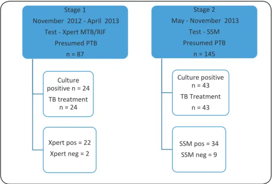 FIGURE 1: TB diagnosis and treatment cascade among presumed pulmonary tuberculosis cases during the study  period using Xpert MTB RIF and sputum smear microscopy.Xpert MTB RIF: Xpert Mycobacterium Rifampicin; 