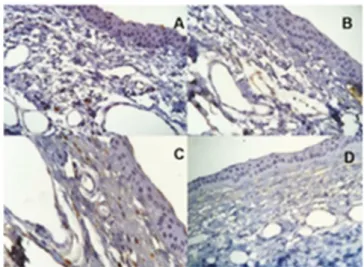 Figure 5. Results of vascular proliferation throughout the  study; p1: comparison between groups in each phase; p2: 