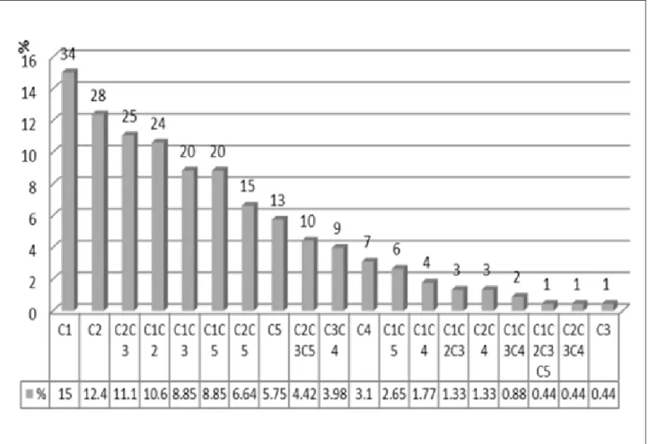 Figure 1 – Distribution of risk categories found in the 230 answers, totaling 19 possible answer  combinations