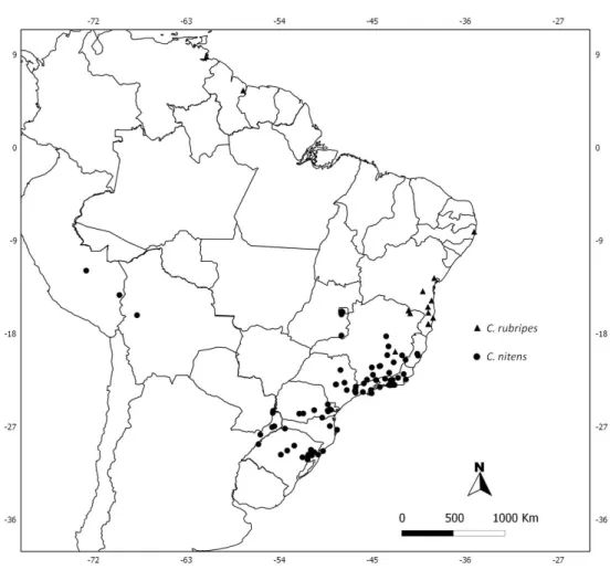 FIGURE  41.  Known  distribution  of  Corinna  rubripes  and  C.  nitens.  Records  from  Bonaldo (1996, 2000) included