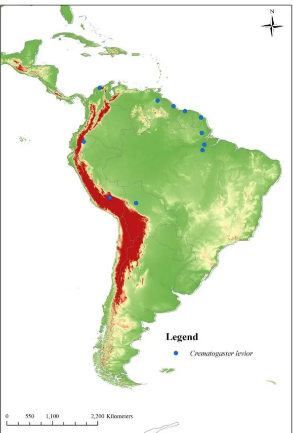 Figura 8: Mapa de distribuição geográfica de Crematogaster levior Longino, 2003. 