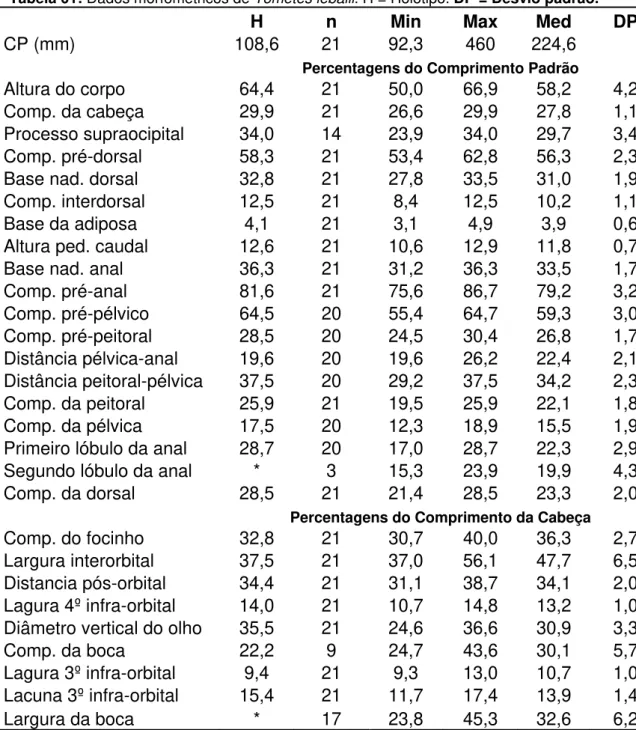 Tabela 01: Dados morfométricos de Tometes lebaili. H = Holótipo. DP = Desvio padrão. 