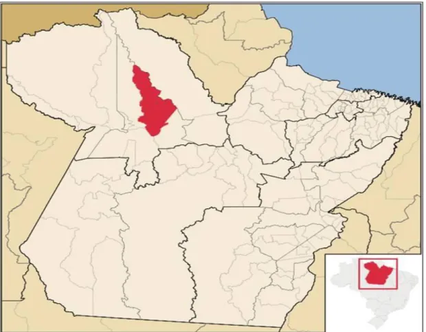 Figura 3. Localização de Monte Alegre no Estado do Pará. Fonte: 