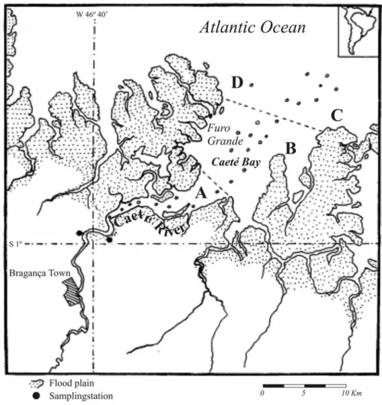 Fig. 1. Caeté Estuary – Northern littoral of Brazil (Mean salinity: A=3-15ppm, B=8-33ppm, C,D=18-36.5ppm)