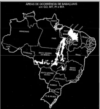 Figura 1: Mapa do Brasil, mostrando a incidência das palmeiras de babaçu. 