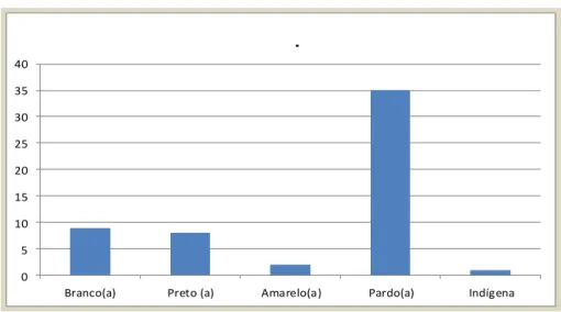 Gráfico 02: Cor da pele