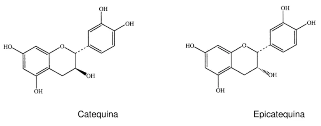 Figura 7. Fórmulas estruturais da catequina e da epicatequina. 