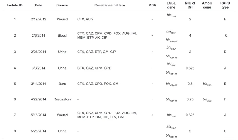 TABLE 3: Characteristics of Enterobacter aerogenes isolates