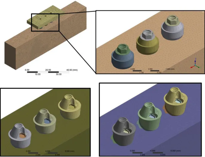 Figure 1. Group geometries exported to software analyses.