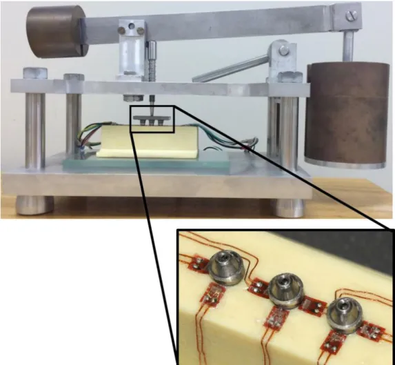 Figure 2. Sample positioned in Load-application device and strain gauge bonded in different areas for in vitro strain measurement.