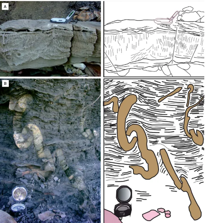 Figure 6. Intrusion structures. (A) Interrupted clastic dyke swarm in a grayish sandstone