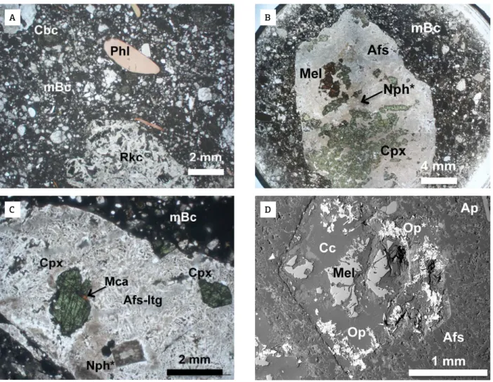 Figure 2. Plane polarized transmitted light (TL) and backscattered (BSE) electronic images of the studied breccia  samples