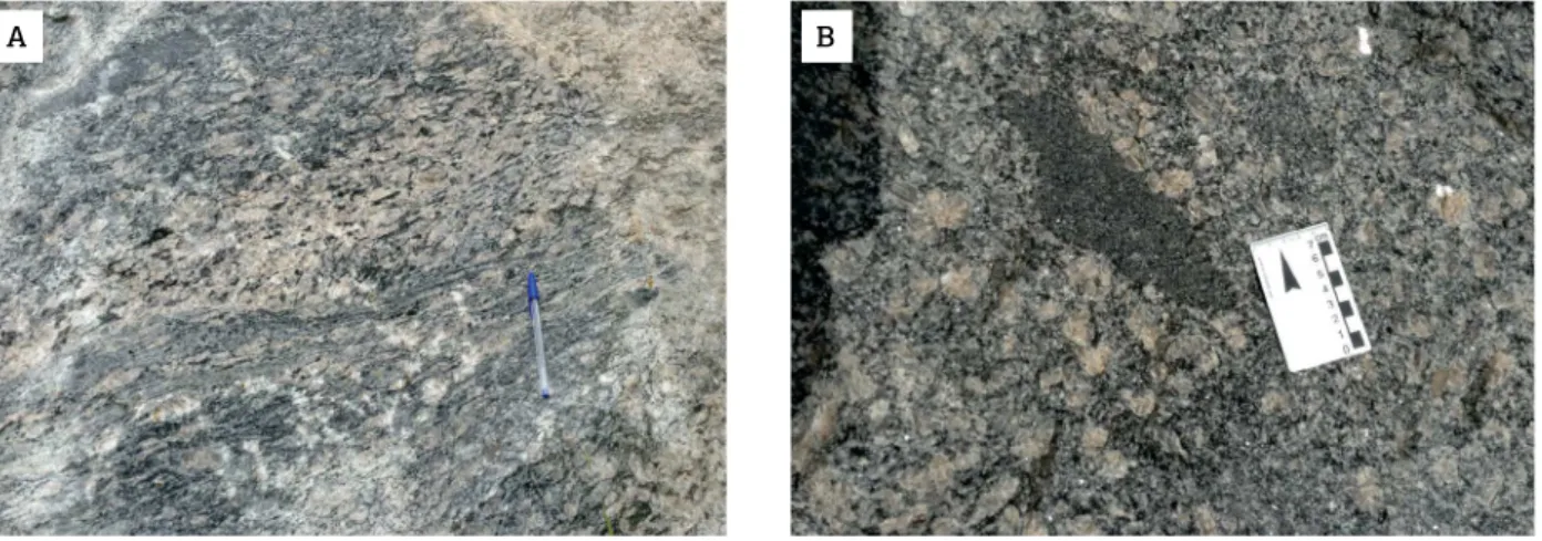 Figure  2.  Some  representative  structural  features  of  the  Bragança  Paulista-type  granite,  as  observed  in  the  BPs02 studied outcrop