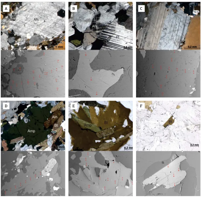 Figure 3. Optical cross-polarized transmitted light (top) and back-scattered electronic (BSE) (bottom) images  emphasizing some textural features of the felsic and mafic minerals in the studied sample