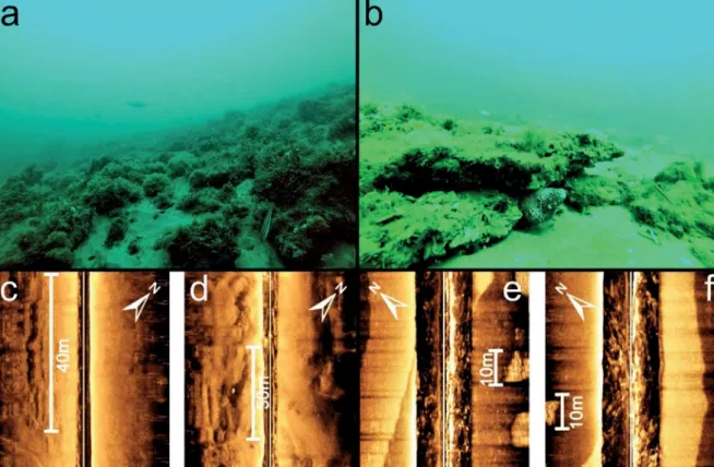 Figure 2. (a,b) Pictures of sandstones at the site where sample 3 was collected. In general all studied sandstones have similar characteristics and  distribution (Photo: Marcelo Soeth, Fish Ecology Laboratory - UFPR)